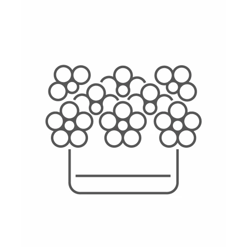 Box of flowers